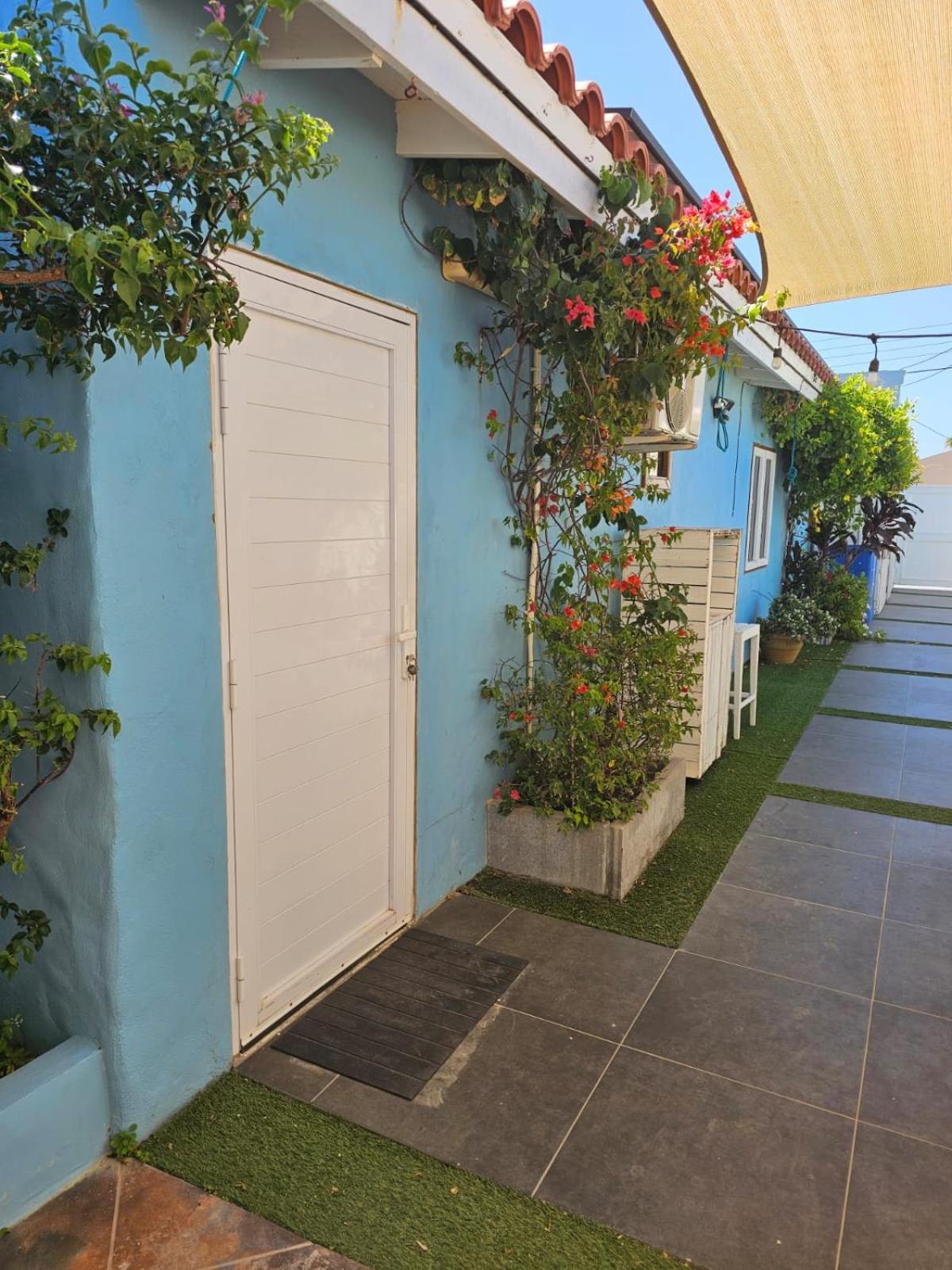 Sandcastle Beach Apartments Palm Beach Exterior foto